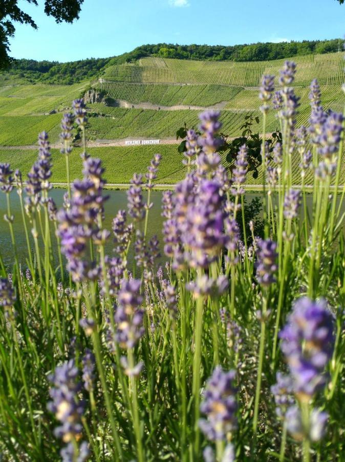 Ferienwohnungen Und Gaestezimmer Peter Busch Bernkastel-Kues Exteriér fotografie