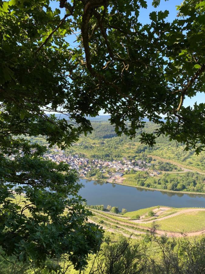 Ferienwohnungen Und Gaestezimmer Peter Busch Bernkastel-Kues Exteriér fotografie