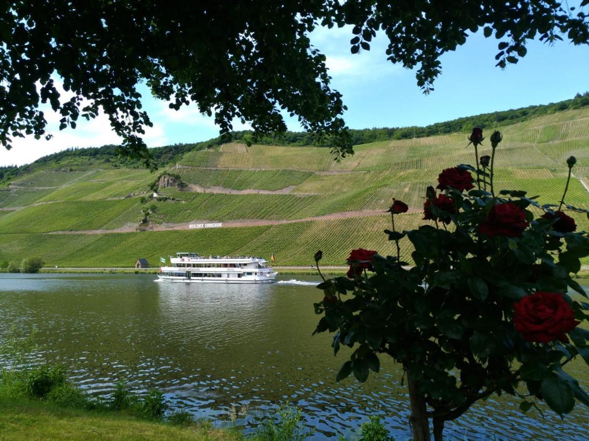 Ferienwohnungen Und Gaestezimmer Peter Busch Bernkastel-Kues Exteriér fotografie