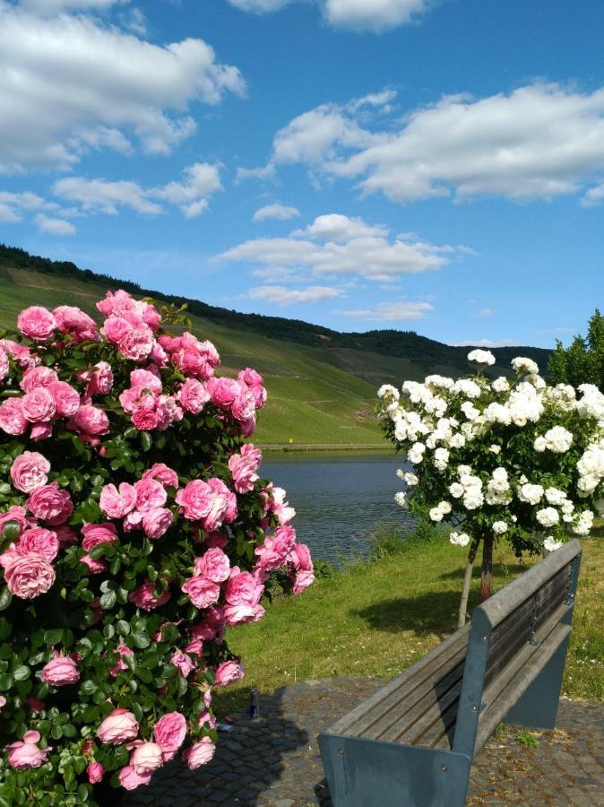 Ferienwohnungen Und Gaestezimmer Peter Busch Bernkastel-Kues Exteriér fotografie