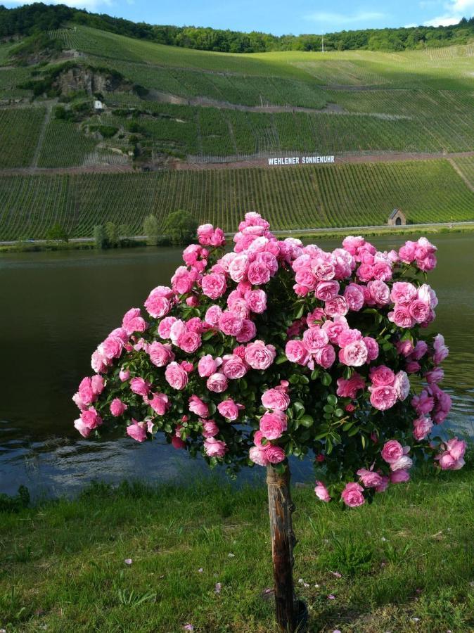 Ferienwohnungen Und Gaestezimmer Peter Busch Bernkastel-Kues Exteriér fotografie