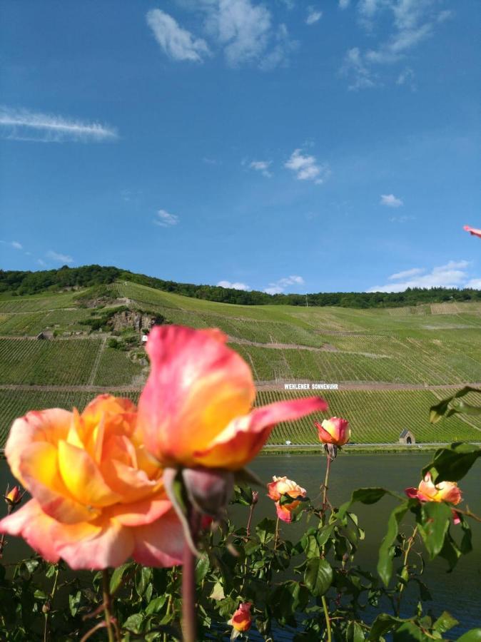 Ferienwohnungen Und Gaestezimmer Peter Busch Bernkastel-Kues Exteriér fotografie