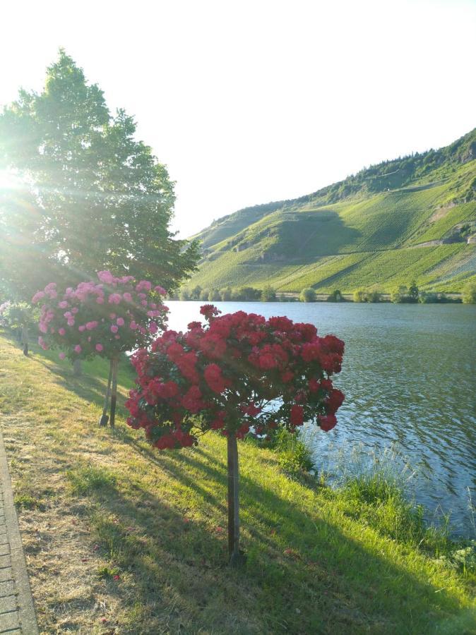 Ferienwohnungen Und Gaestezimmer Peter Busch Bernkastel-Kues Exteriér fotografie