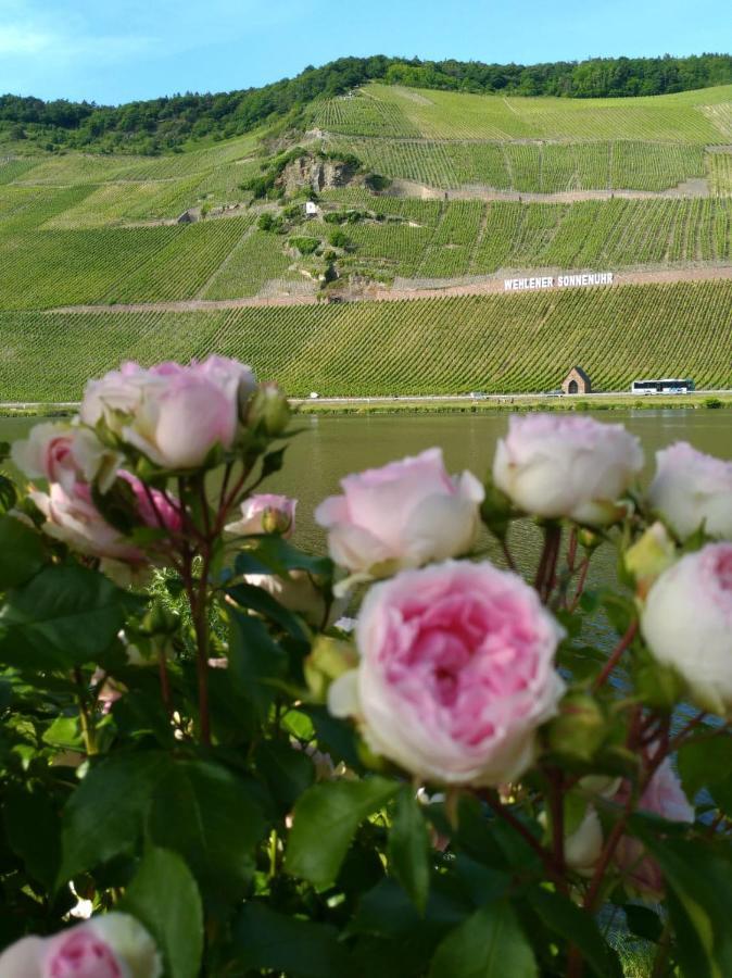 Ferienwohnungen Und Gaestezimmer Peter Busch Bernkastel-Kues Exteriér fotografie
